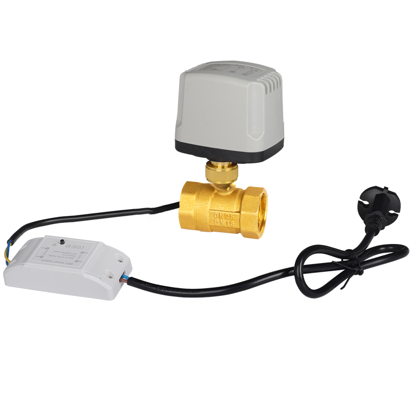 Wi-Fi intelligent control electric ball valve