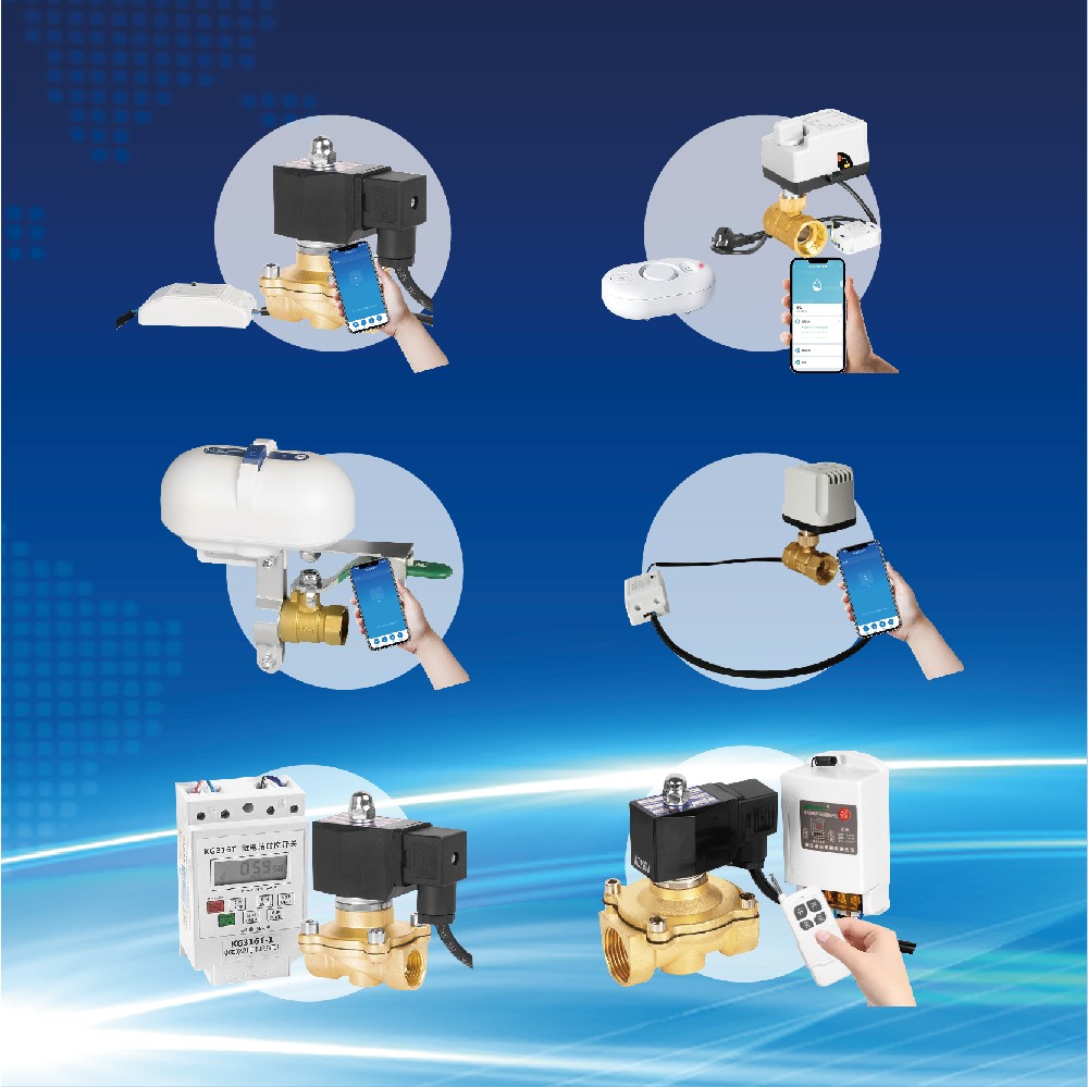 Electric Actuated Valve